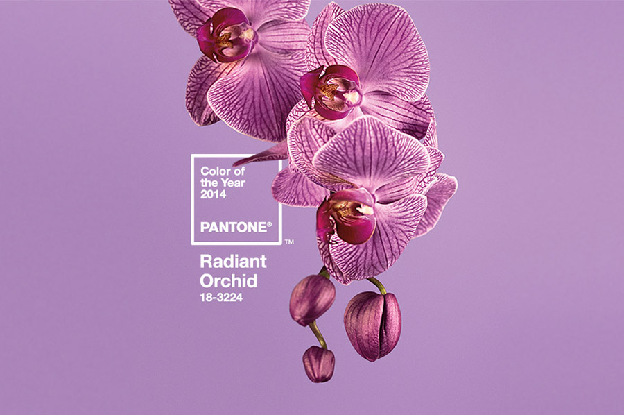 pantone_radiant_orchid_1