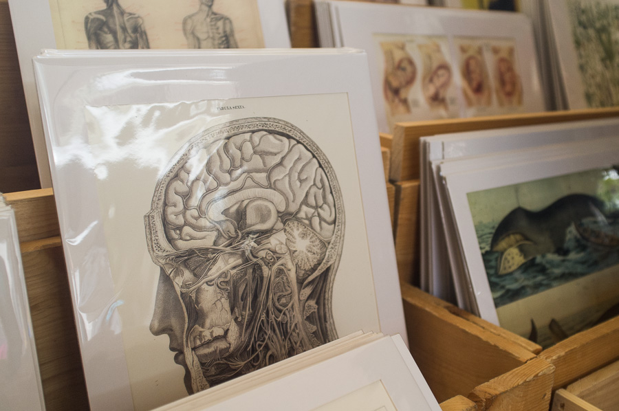 amsterdam_city_guide-21