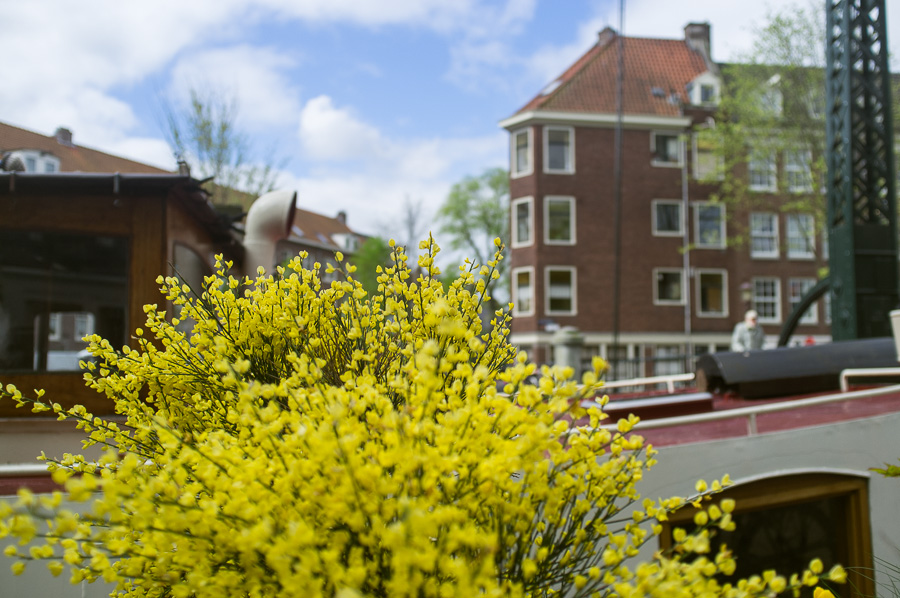 amsterdam_city_guide-27