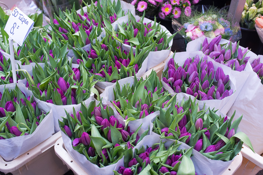 amsterdam_city_guide-33