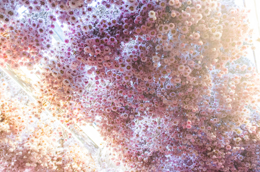 amsterdam_city_guide-34