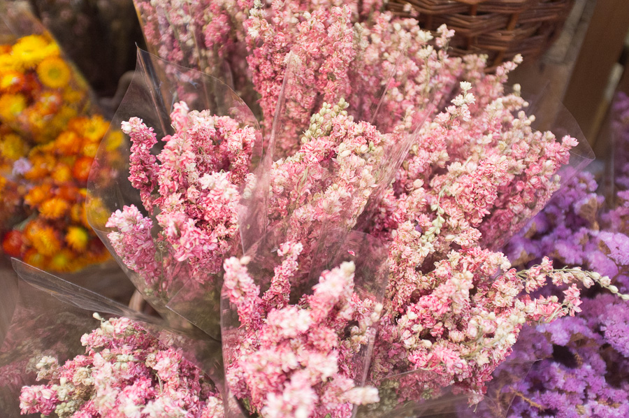 amsterdam_city_guide-41