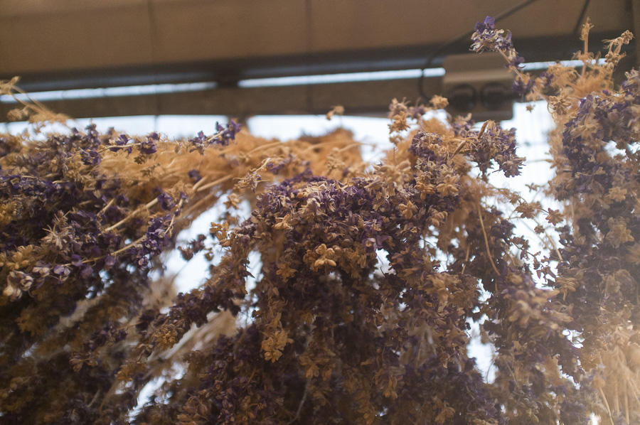 amsterdam_city_guide-5