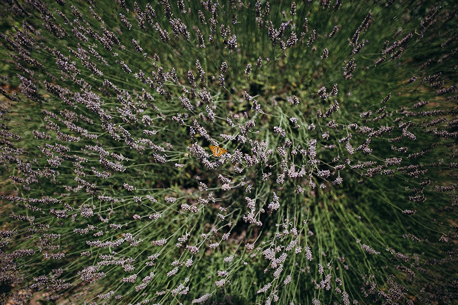 juliaetmaxsemarient_jeanlaurentgaudy_06