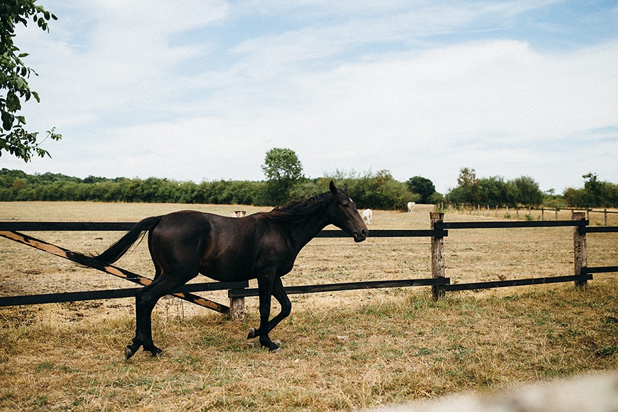 juliaetmaxsemarient_jeanlaurentgaudy_08