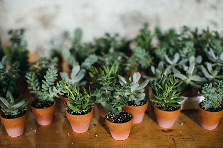 juliaetmaxsemarient_jeanlaurentgaudy_09